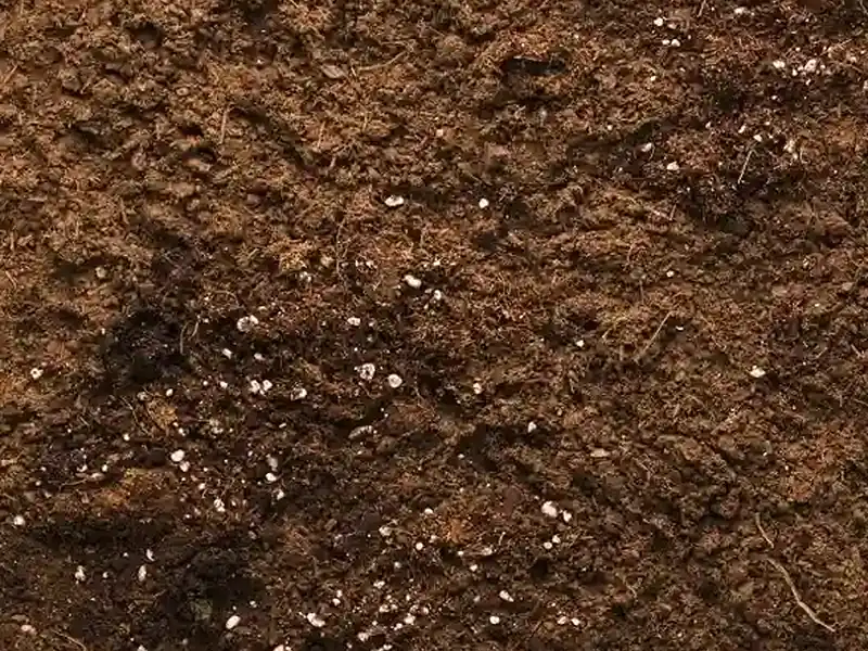 Aplicação de corretivos e fertilizantes em terreno agrícola