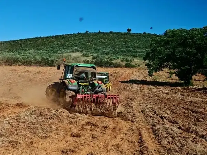Trabalho de desmatação de terreno agrícola