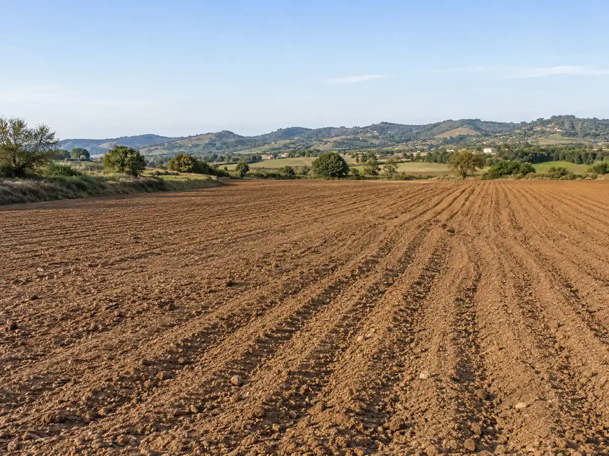 Área agrícola preparada para um projeto de plantação
